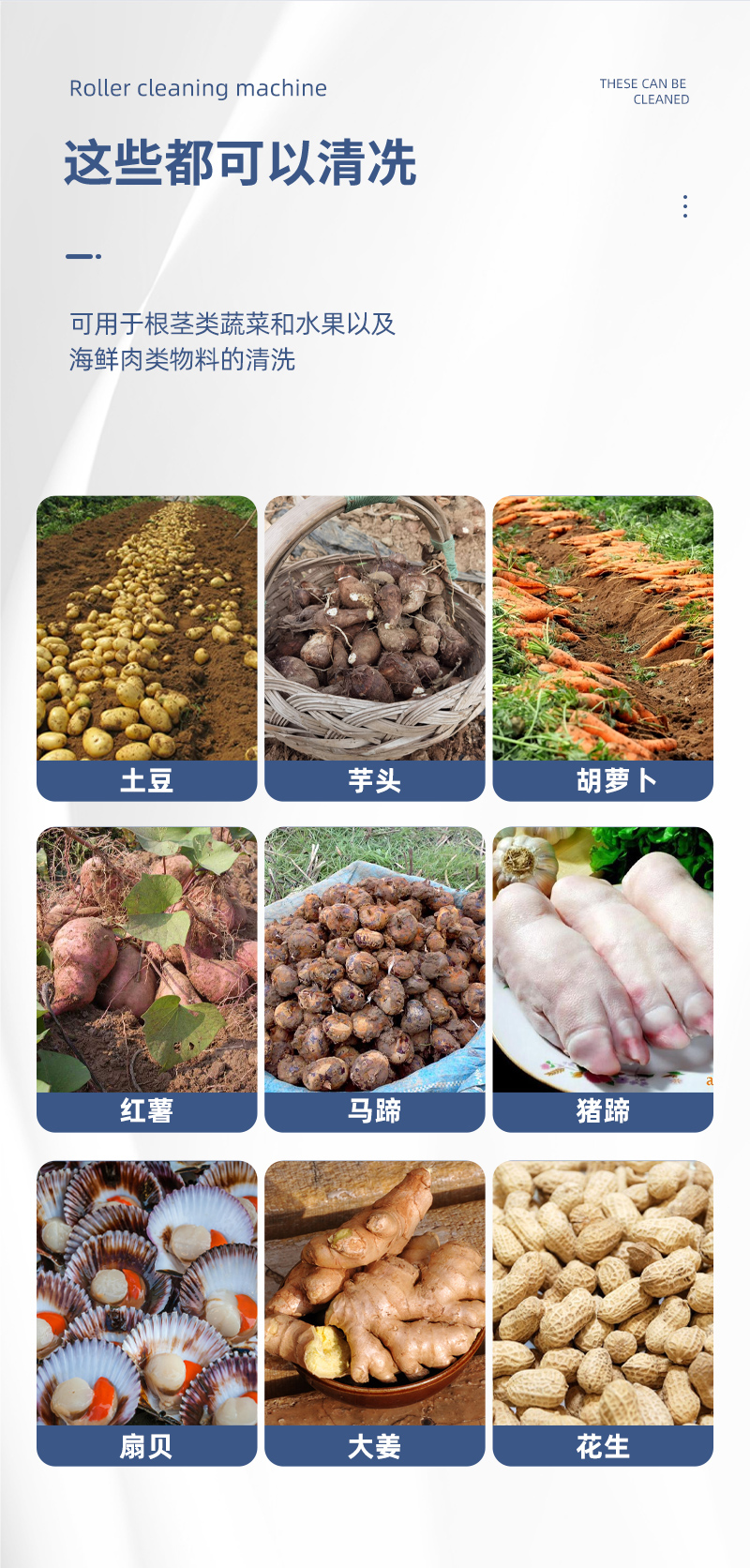 毛輥清洗機(jī)_03