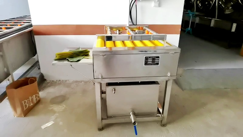粽葉清洗機1