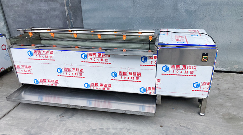 加裝托盤毛輥清洗機